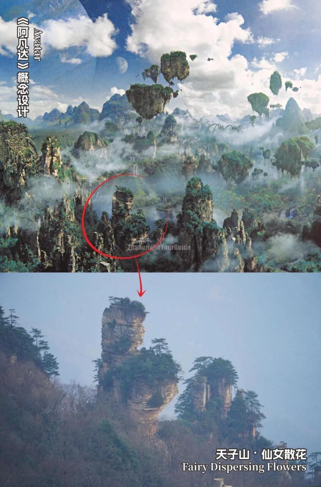 Fairy Scattering Flowers - Avatar Filming Location