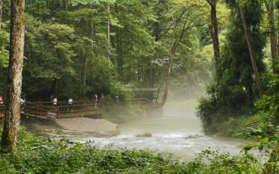 Zhangjiajie Golden Whip Stream