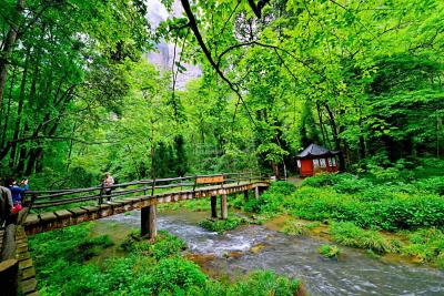 Golden Whip Stream - Zhangjiajie National Park