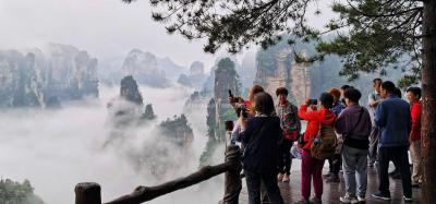 Misty fog covering the peaks in Zhangjiajie National Park