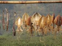 Tai O Fishing Village Salted Fish Hong Kong