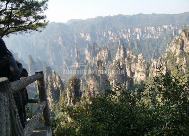 Autumn in Zhangjiajie 