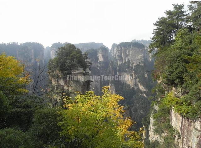 Autumn in Zhangjiajie