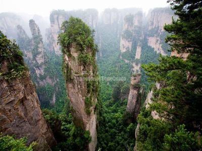 Avatar Hallelujah Mountain Zhangjiajie