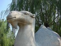 Stone Sculpture at Beijing Shen Dao