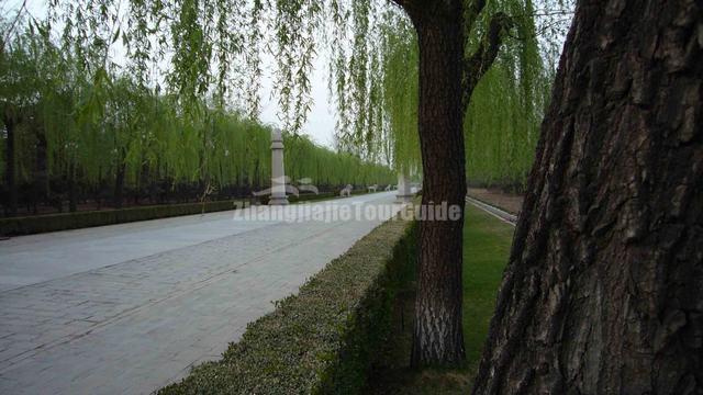 Beijing Shen Dao Landscape