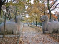 Beijing Shen Dao Camel Sculpture Autumn