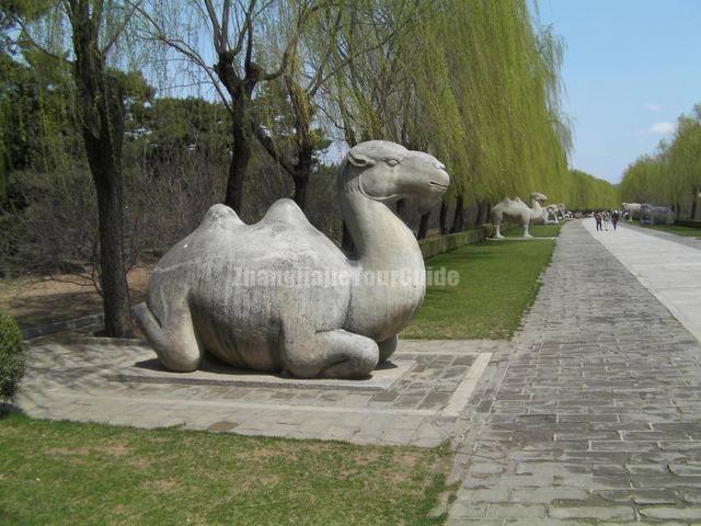 Beijing Shen Dao Camel Sculpture