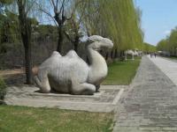 Beijing Shen Dao Camel Sculpture