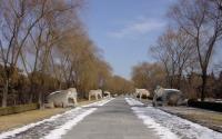 Beijing Shen Dao Elephant Sculptures