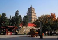 Xian Big Goose Pagoda Autumn Scenery