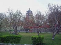 Big Goose Pagoda Attractive Scenery Xian