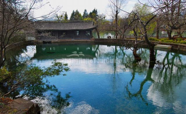 Black Dragon Pool Park Lijiang Yunnan