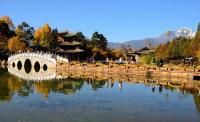 Black Dragon Pool Park Landscape Lijiang