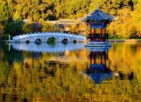 Lijiang Black Dragon Pool Park Attractive Autumn Scenery