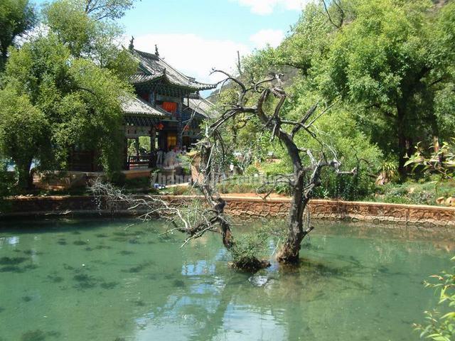 Black Dragon Pool Park Lijiang