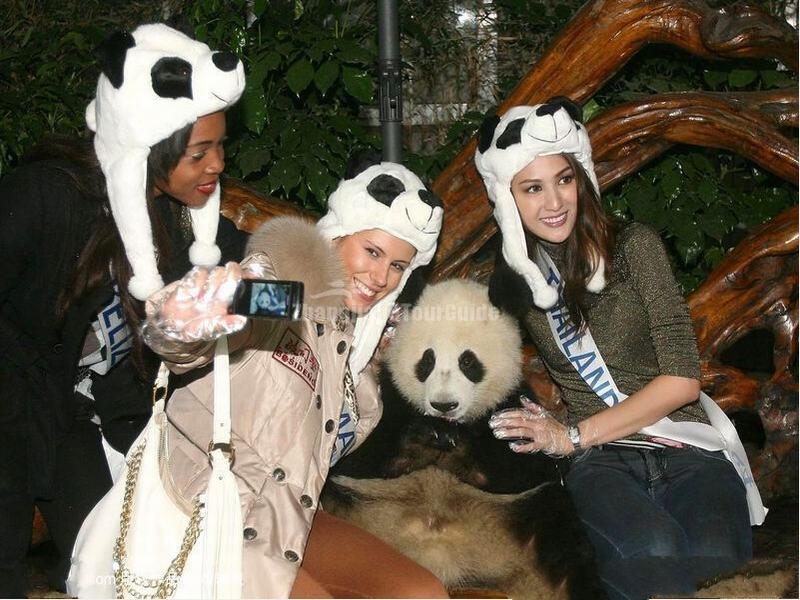 Chengdu Research Base of Giant Panda Breeding