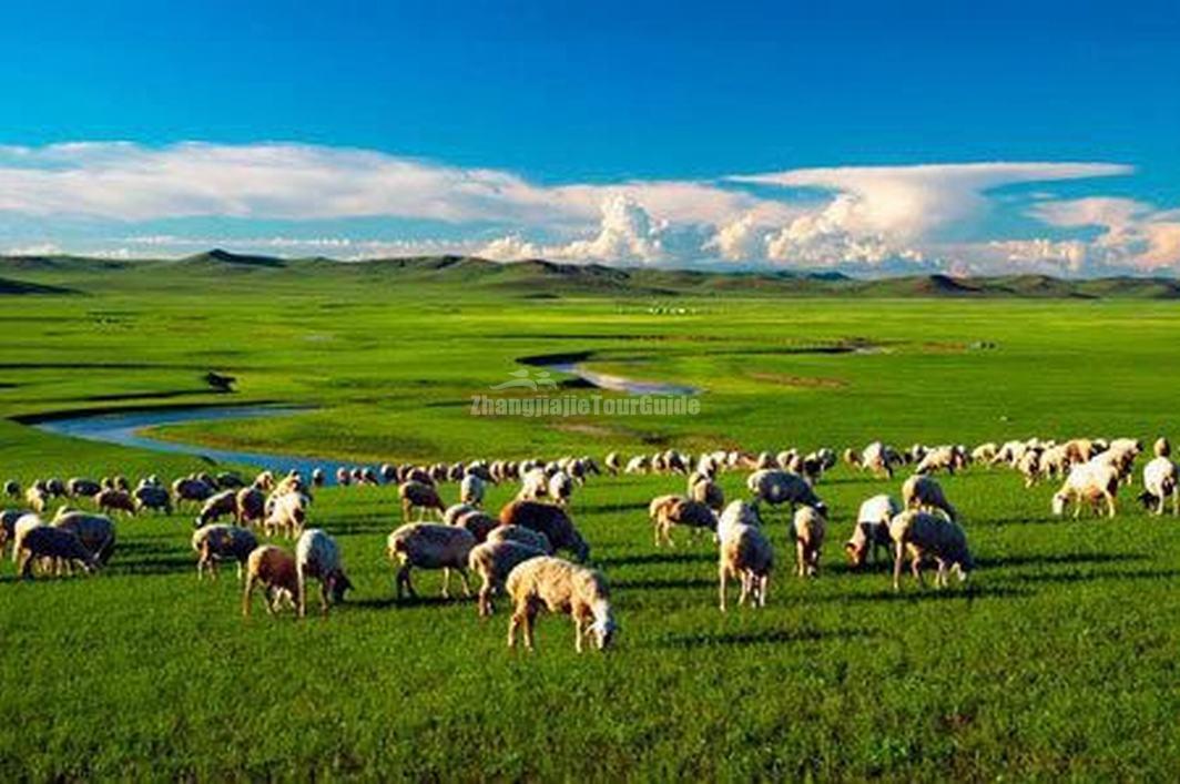 China's Top 10 Major Tourist Attractions for Boudoir Honey