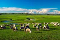 China's Top 10 Major Tourist Attractions for Boudoir Honey 