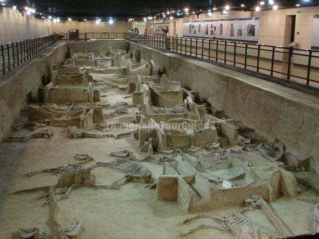 Luoyang Emperor Carriage Museum Spectacular Landscape