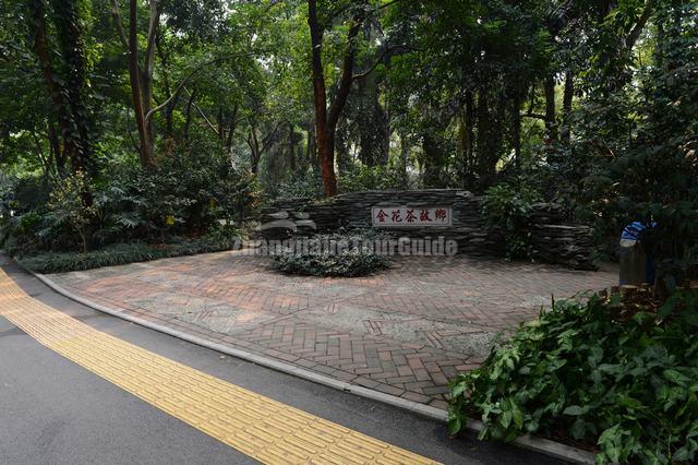 Golden Camellia Park Nanning Guangxi China