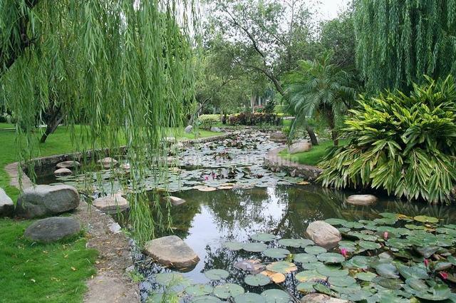 Nanning Golden Camellia Park Charming Landscape