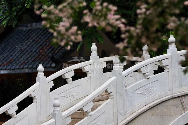 Golden Camellia Park Bridge Nanning