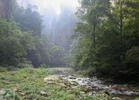 Golden Whip Stream Canyon