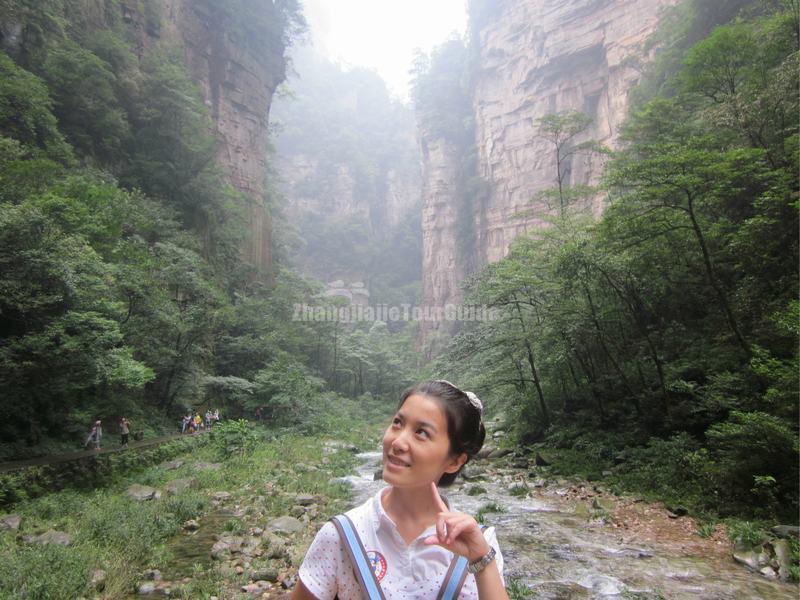 Golden Whip Brook Zhangjiajie