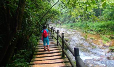 Hike Golden Whip Stream