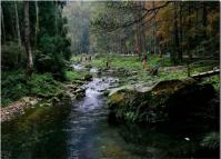 Zhangjiajie Golden Whip Stream