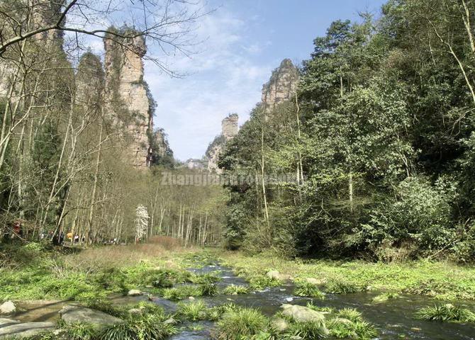 Zhangjiajie Golden Whip Brook