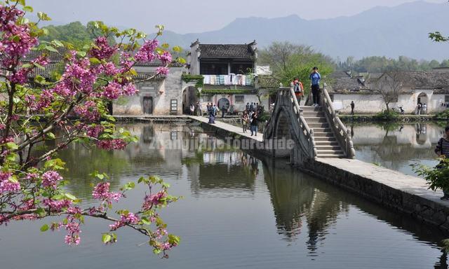 Hongcun Village Spring Scenery Anhui