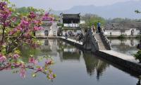 Hongcun Village Spring Scenery Anhui