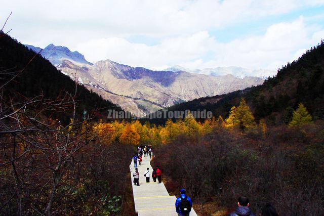 Huanglong Scenery Autumn