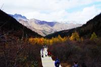 Huanglong Scenery Autumn