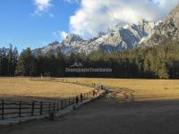  Spruce Meadow in Jade Dragon Snow Mountain