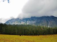  Spruce Meadow Lijiang