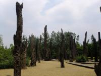 Jin Sha Site Museum Scenery Sichuan