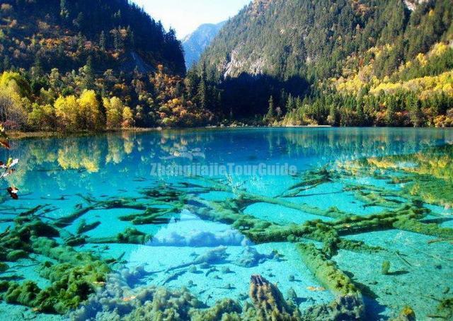 Jiuzhaigou Charming Autumn