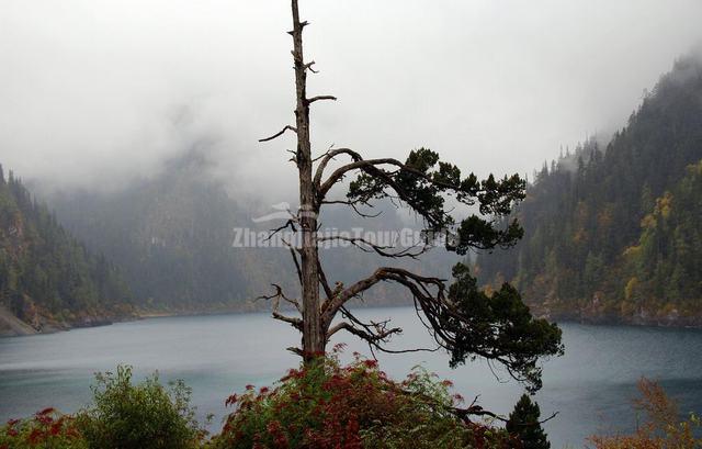  Jiuzhaigou Long Lake