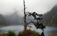  Jiuzhaigou Long Lake