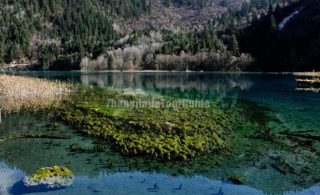 Jiuzhaigou Five-Color Pond