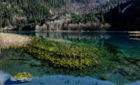 Jiuzhaigou Five-Color Pond