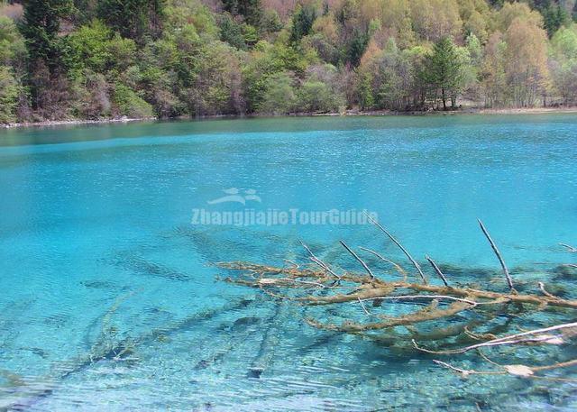 Jiuzhaigou Beautiful Lake