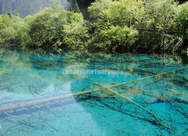 Jiuzhaigou Charming Five Flower Lake