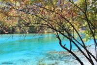 Jiuzhaigou Charming Lake