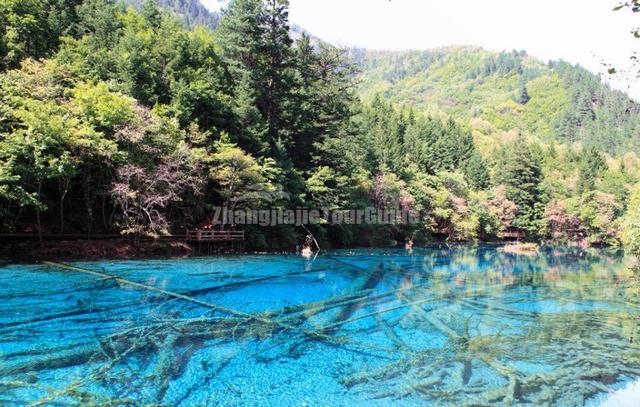 Jiuzhaigou Beautiful Scenery
