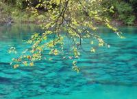 Jiuzhaigou Beautiful Landscape