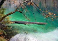 Jiuzhaigou Landscape